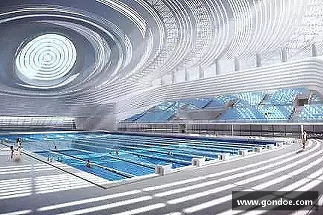知道K1体育